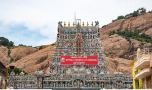 திருப்பரங்குன்றம் மலை தீபத்தூண் விவகாரம் குறித்து கருத்து தெரிவித்த பக்தர்கள்