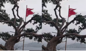 Hindu organizations submit petition to police opposing flag hoisting on sacred Kallathi tree at Thirupparankundram hill