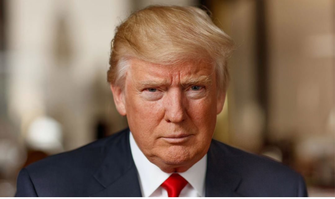 அமெரிக்க அதிபர் டொனால்டு டிரம்ப் செய்தியாளர்களிடம் பேசும் காட்சி