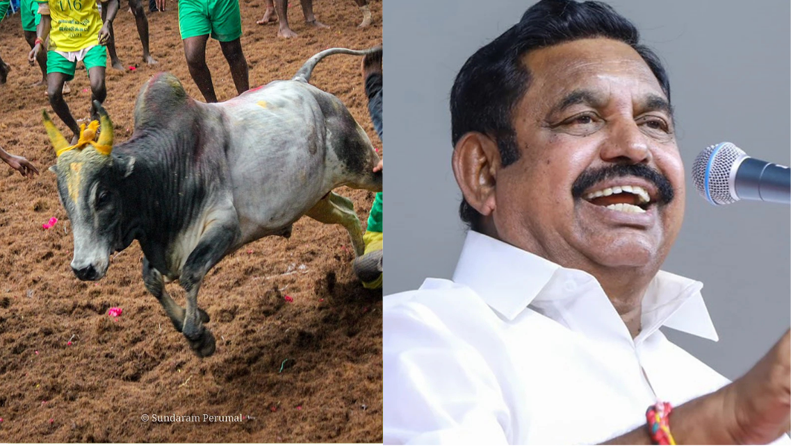 நாமக்கலில் ஜல்லிக்கட்டு போட்டியை தொடங்கி வைத்த இபிஎஸ்