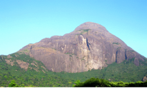 மத்திய பட்ஜெட்டில் அறிவிப்புகளை வெளியிடும் நிதியமைச்சர் நிர்மலா சீதாராமன்