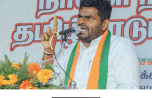 சேப்பாக்கம்-திருவல்லிக்கேணி தொகுதி வளர்ச்சி, அடிப்படை வசதிகள் குறித்து அண்ணாமலை விமர்சனம் தெரிவித்தார்.