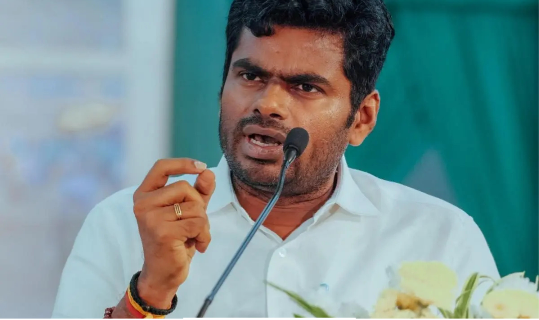 பள்ளி மாணவர் இடைநிற்றல் குறித்து தி.மு.க. அரசை விமர்சித்த அண்ணாமலை