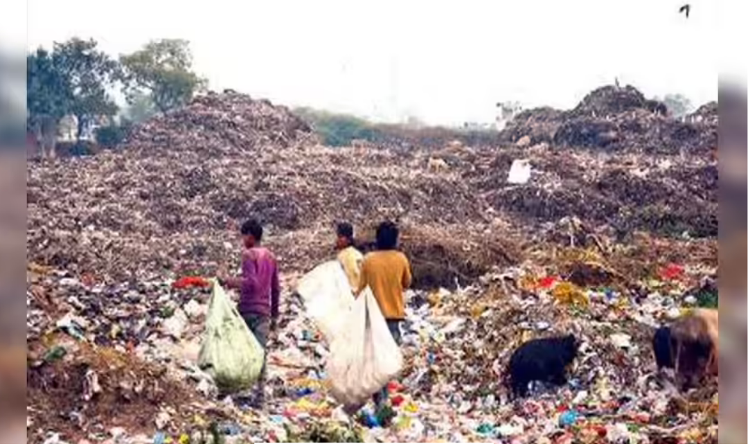 வேலூர் மாநகராட்சி மேயர் பாலாறு ஆற்றில் குப்பை dumping சம்பந்தமாக பேச்சு நடத்துகிறார்.