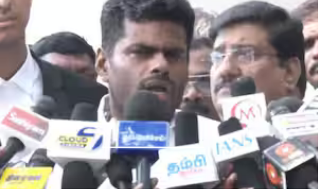 சைதாப்பேட்டையில் நிருபர்களிடம் பேட்டி அளிக்கும் அண்ணாமலை.