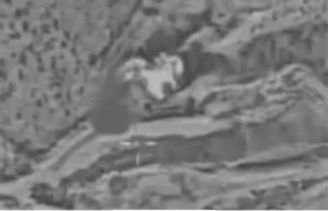 இஸ்ரேல் பாதுகாப்புப் படை வெளியிட்ட தாக்குதல் வீடியோ காட்சி மற்றும் இரவு நேர வெடிப்பு காட்சி.