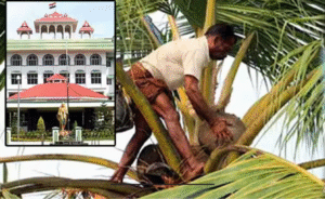 மதுரை உயர்நீதிமன்ற கிளை மற்றும் கள் தடை தொடர்பான வழக்கு விசாரணை காட்சி