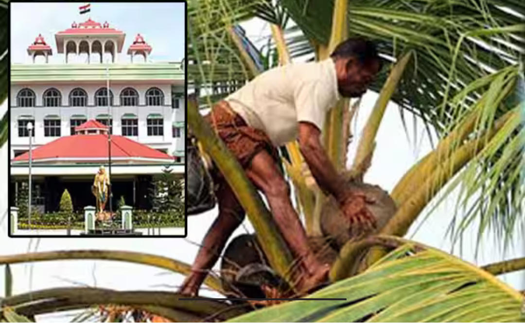 மதுரை உயர்நீதிமன்ற கிளை மற்றும் கள் தடை தொடர்பான வழக்கு விசாரணை காட்சி