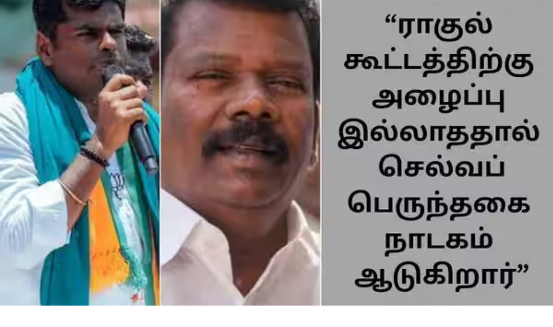 செல்வப்பெருந்தகை குறித்து விமர்சனம் தெரிவிக்கும் அண்ணாமலை