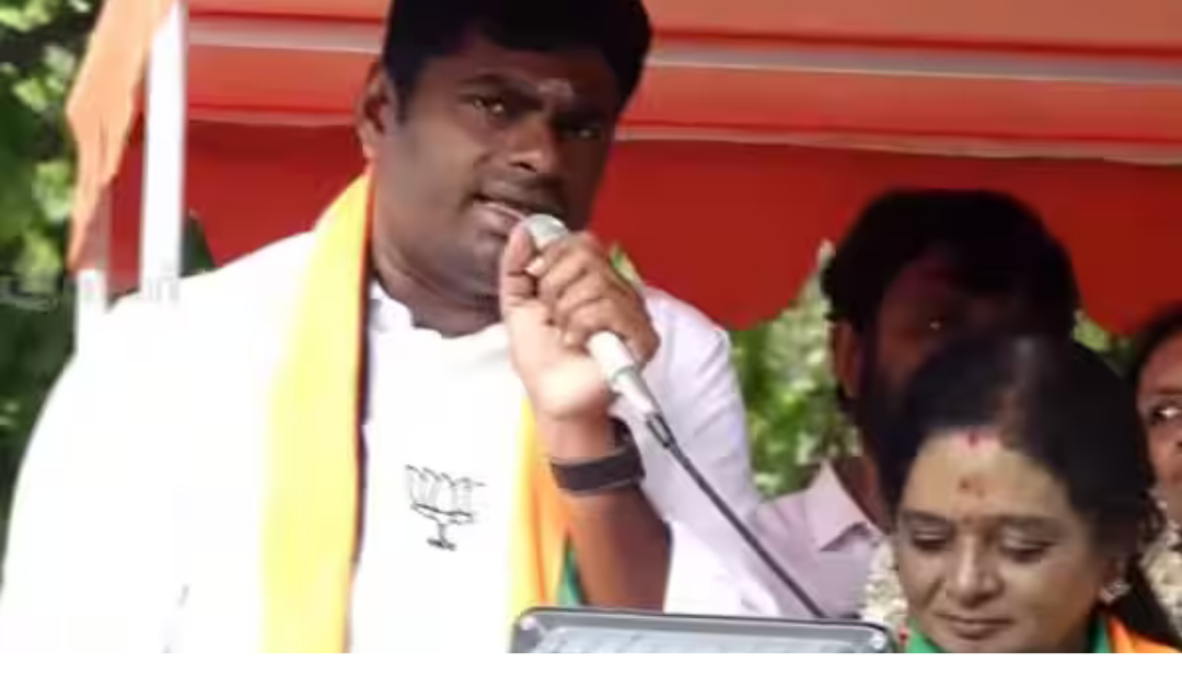 மயிலாப்பூரில் தேர்தல் பிரசாரத்தில் உரையாற்றும் அண்ணாமலை