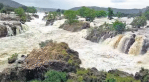 மேகதாது வழக்கில் தீர்ப்பு வழங்கிய உச்ச நீதிமன்றம்