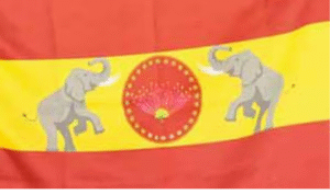பொதுமக்களுக்கு இடையூறு தரும் கொண்டாட்டங்களை தவிர்க்க கட்சியினருக்கு அறிவுரை வழங்கிய த.வெ.க. தலைமை