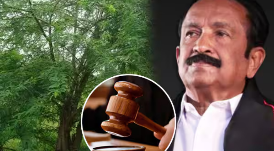 சீமைக்கருவேல மரங்கள் அடர்ந்த பகுதிகளை ஆய்வு செய்யும் அதிகாரிகள் மற்றும் உயர்நீதிமன்ற மதுரை கிளை.