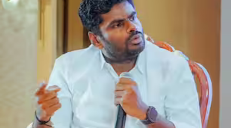 செங்கல்பட்டில் நடைபெற்ற த.வெ.க. இணைப்பு விழாவில் உரையாற்றும் அமைச்சர் ஆதவின் பிரதிநிதித்துவ படம்.