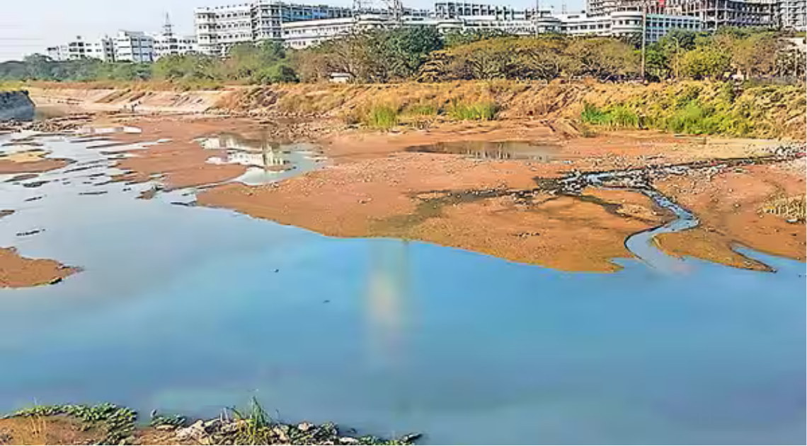 சென்னையின் முக்கிய குடிநீர் ஆதாரமான செம்பரம்பாக்கம் ஏரியின் தோற்றம்.