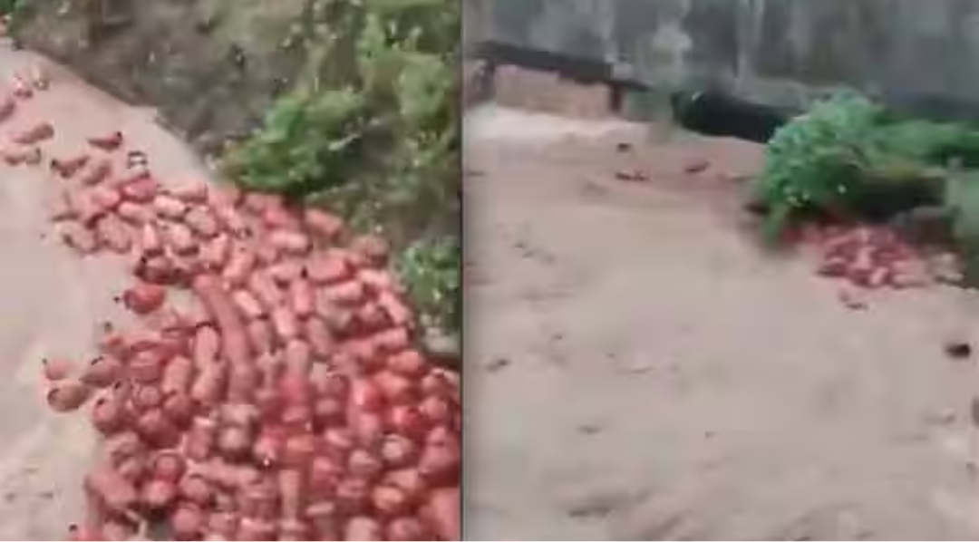 மஹாராஷ்டிராவில் வெள்ளநீரில் அடித்துச் செல்லப்படும் எல்பிஜி சிலிண்டர்கள்.