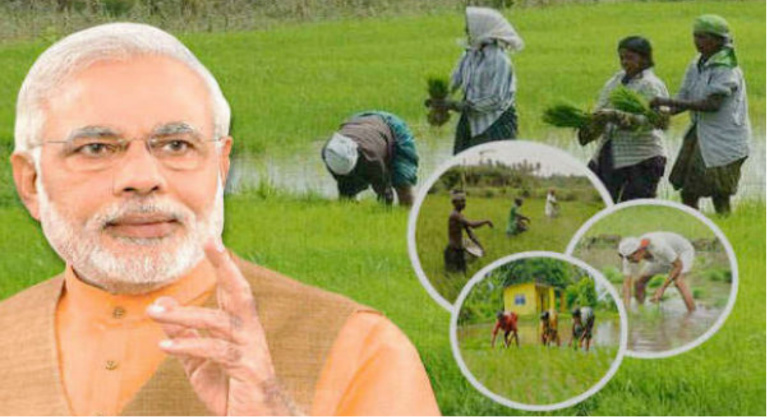 ரபி பயிர்களின் குறைந்தபட்ச ஆதரவு விலை உயர்வு குறித்து பிரதமர் மோடி